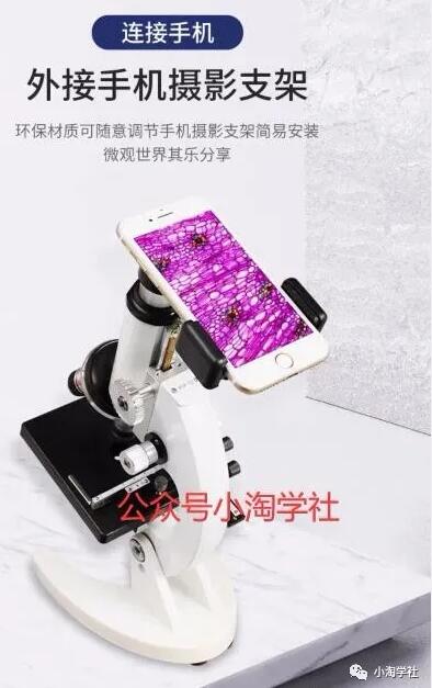 买个显微镜拍抖音做无人直播项目-八爪鱼资源库