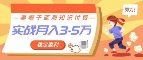 黑帽子蓝海知识付费项目,持续稳定盈利,实战月入3-5w项目-八爪鱼资源库