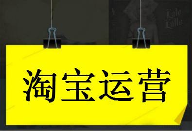 2020年零基础淘宝SEO运营实战，大数据时代精细化运营流程-八爪鱼资源库