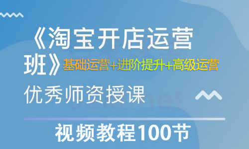 淘宝开店营运视频教程100节从基础运营+进阶提升+高级运营-八爪鱼资源库