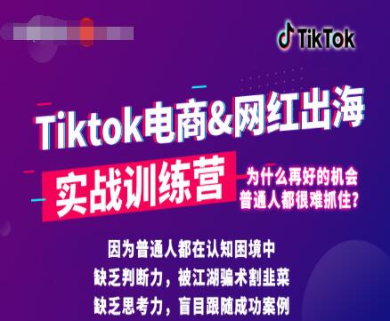 零基础学习抖音国际版TikTok海外短视频新手实战训练营【视频课】-八爪鱼资源库
