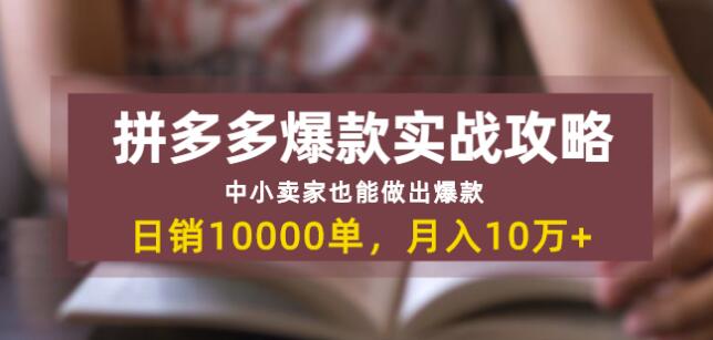 拼多多爆款实战攻略：中小卖家也能做出爆款，日销10000单月入10w+-八爪鱼资源库