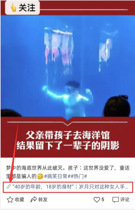 图片[3]-视频号CPS月入10W+ 抢占微信视频号红利-八爪鱼资源库