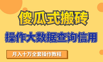 搬砖操作大数据查询信用项目赚钱教程，祝你快速月入6万-八爪鱼资源库
