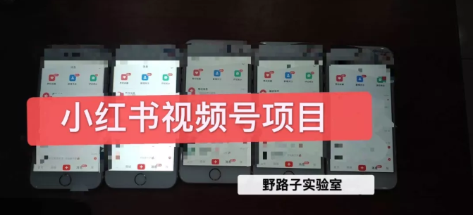 图片[1]-野路子小红书视频号1.0项目，直接上手操作就能赚钱的视频号项目-八爪鱼资源库