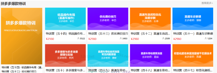 多多大师VIP拼多多运营培训课程价值2980元-八爪鱼资源库