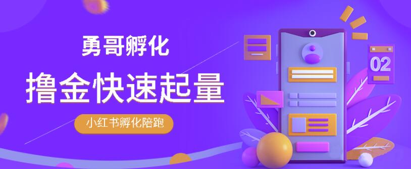 勇哥·小红书撸金快速起量陪跑孵化营，教你在小红书平台实现副业的睡后收入-八爪鱼资源库