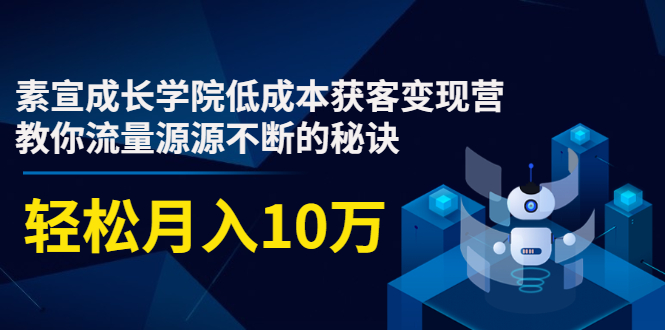素宣成长学院低成本获客变现营,教你流量源源不断的秘诀,轻松月入10万-八爪鱼资源库