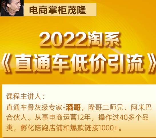 茂隆2022直通车低价引流玩法,教大家如何低投入高回报的直通车玩法