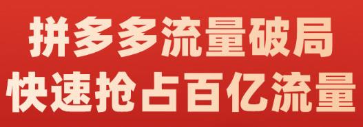 阿杰·拼多多流量破局:如何打黑标，爆款的思路，拼多多流量框架，快速抢占百亿流量-八爪鱼资源库