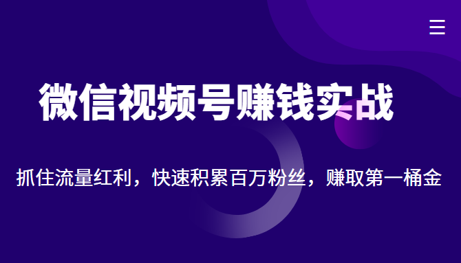 微信视频号赚钱实战：抓住流量红利，快速积累百万粉丝，赚取你的第一桶金-八爪鱼资源库