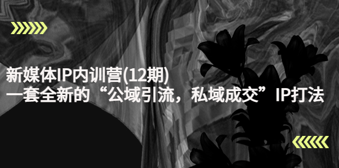 新媒体IP内训营(12期)，一套全新的“公域引流，私域成交”IP打法，直接带走-八爪鱼资源库