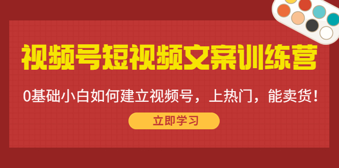 视频号短视频文案训练营：0基础小白如何建立视频号，上热门，能卖货！-八爪鱼资源库