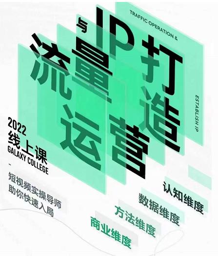 大蓝流量运营&个人ip打造课,短视频带货/爆款文案/流量运营/直播入门/镜头变现/流量商业