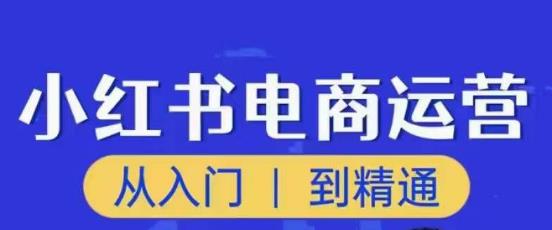 顽石小红书电商高阶运营课程，从入门到精通，玩法流程持续更新-八爪鱼资源库