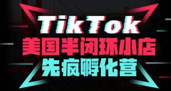 疯人院·TikTok美国半闭环小店孵化营,抢占TikTok美国蓝海市场,开店、运营、带货、投流全实操