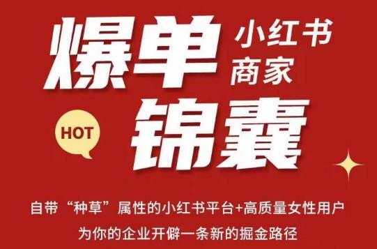 无畏·小红书商家爆单锦囊,掌握小红书各大规则,快速精准抢占行业和市场