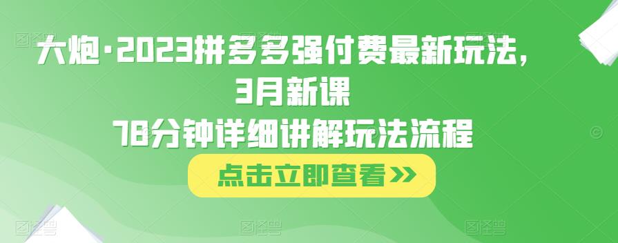 大炮·2023拼多多强付费最新玩法，3月新课​78分钟详细讲解玩法流程-八爪鱼资源库