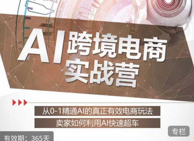 白龙老师·AI跨境电商实战营:从0-1精通Al的真正有效电商玩法,卖家如何利用Al快速超车