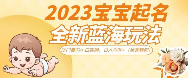 2023宝宝起名全新蓝海玩法，冷门暴力小白实操，日入1000+（全套教程）【揭秘】-八爪鱼资源库
