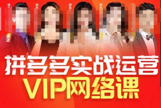 推易拼多多VIP全套直播课程，拼多多店铺实操玩法+实战玩法选款内功+直通车高阶等-八爪鱼资源库
