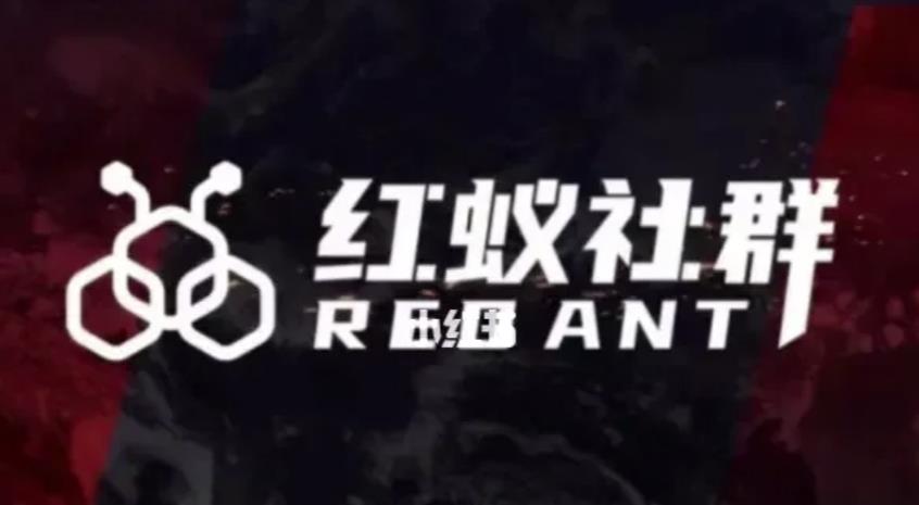 社群运营:红蚁社群【48节落地系统课程+2000人高端社群】