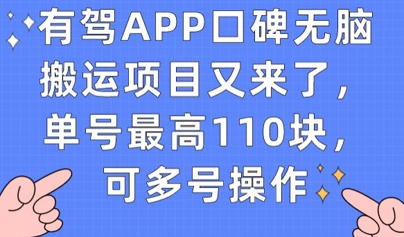 有驾APP口碑无脑搬运项目又来了，单号最高110块，可多号操作-八爪鱼资源库