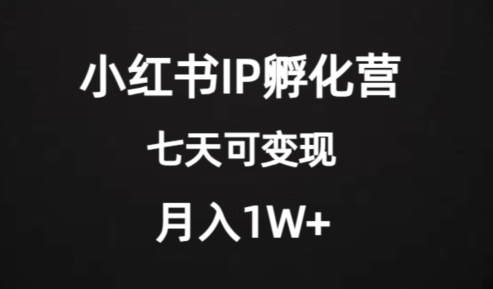 价值2000+的小红书IP孵化营项目，超级大蓝海，七天即可开始变现，稳定月入1W+-八爪鱼资源库