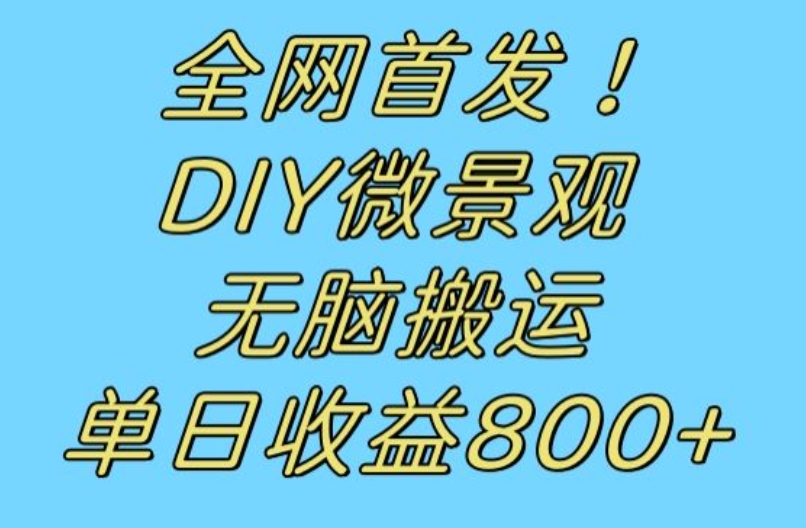 全网首发冷门赛道！DIY微景观，无脑搬运视频，日收益800+【揭秘】-八爪鱼资源库