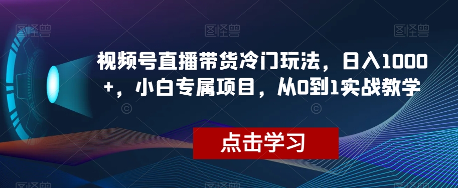 视频号直播带货冷门玩法，日入1000+，小白专属项目，从0到1实战教学【揭秘】-八爪鱼资源库