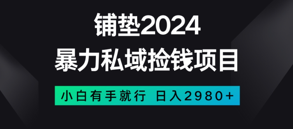 暴力私域捡钱项目，小白无脑操作，日入2980【揭秘】-八爪鱼资源库