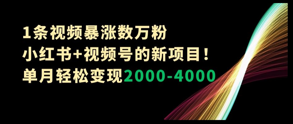 1条视频暴涨数万粉–小红书+视频号的新项目！单月轻松变现2000-4000【揭秘】-八爪鱼资源库