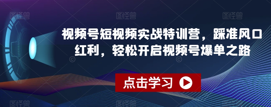视频号短视频实战特训营，踩准风口红利，轻松开启视频号爆单之路-八爪鱼资源库