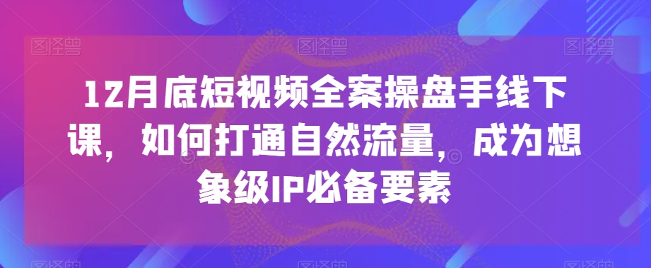 12月底短视频全案操盘手线下课，如何打通自然流量，成为想象级IP必备要素-八爪鱼资源库
