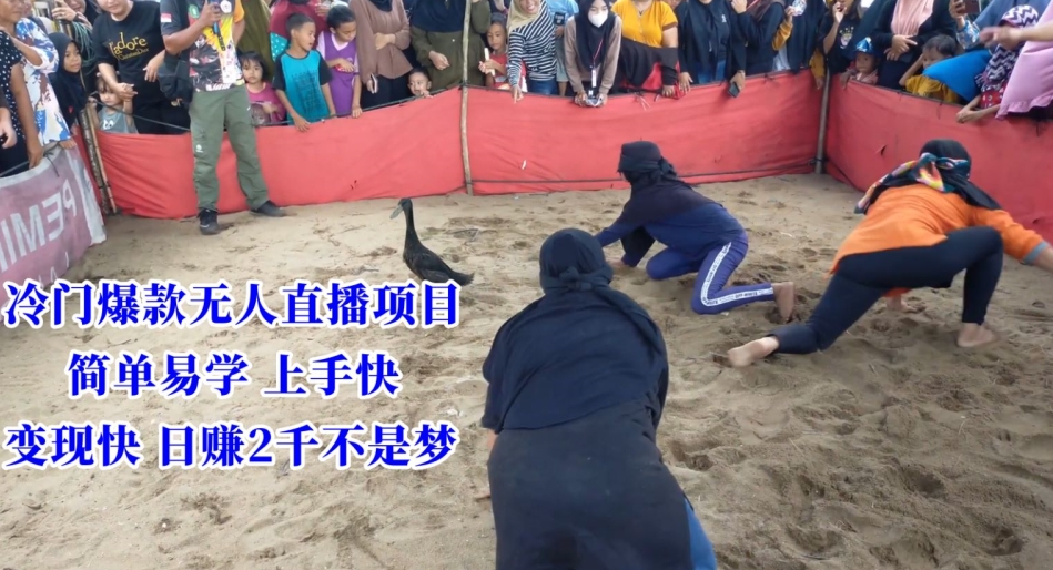 冷门爆款无人直播项目，简单易学上手快，变现快日赚2千不是梦【揭秘】-八爪鱼资源库