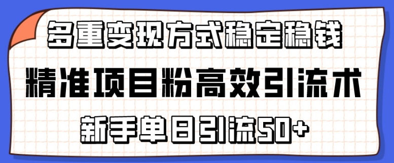 精准项目粉高效引流术,新手单日引流50+,多重变现方式稳定赚钱【揭秘】