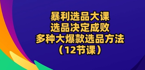 暴利选品大课：选品决定成败，教你多种大爆款选品方法(12节课)-八爪鱼资源库