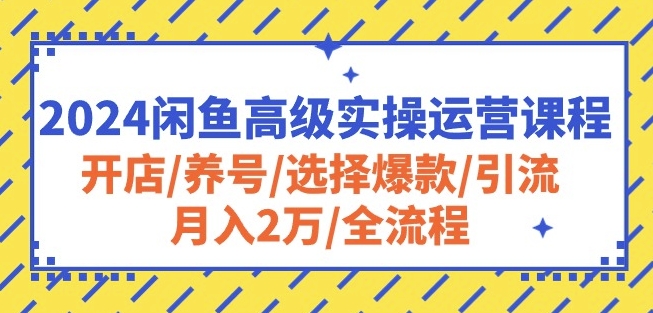2024闲鱼高级实操运营课程:开店/养号/选择爆款/引流/月入2万/全流程