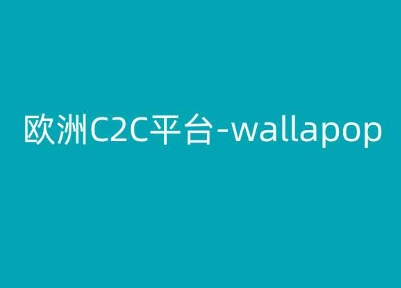 欧洲C2C平台-wallapop-kim跨境电商教程-八爪鱼资源库