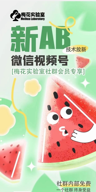 梅花实验室2024年AB技术视频号AB合成破解版-八爪鱼资源库