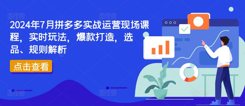 2024年7月拼多多实战运营现场课程，实时玩法，爆款打造，选品、规则解析-八爪鱼资源库