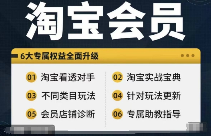 淘宝会员【淘宝所有课程,全面分析对手】,初级到高手全系实战宝典