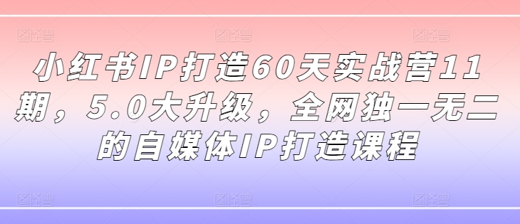 小红书IP打造60天实战营11期，5.0大升级，全网独一无二的自媒体IP打造课程-八爪鱼资源库