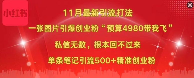 小红书11月最新图片打粉，一张图片引爆创业粉，“预算4980带我飞”，单条引流500+精准创业粉-八爪鱼资源库