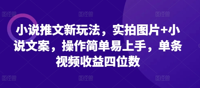 小说推文新玩法，实拍图片+小说文案，操作简单易上手，单条视频收益四位数-八爪鱼资源库
