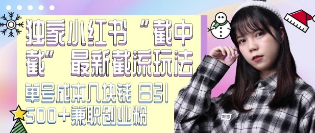 最新小红书截流玩法 独家截中截 单号成本几块钱 日引500+CY粉JZ粉-八爪鱼资源库
