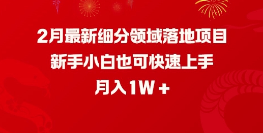 2月最新细分领域落地项目，新手小白也可快速上手，月入1W-八爪鱼资源库