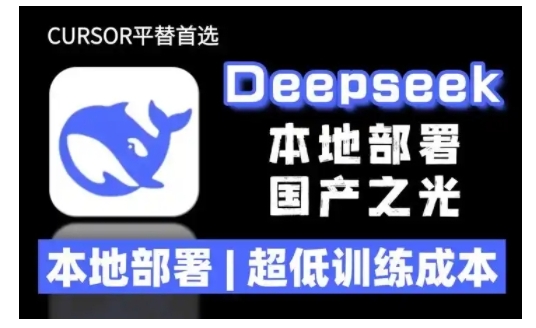 2025年deepseek R1 大型模型本地安装部署(文件+教程)本地部署,超低训练成本