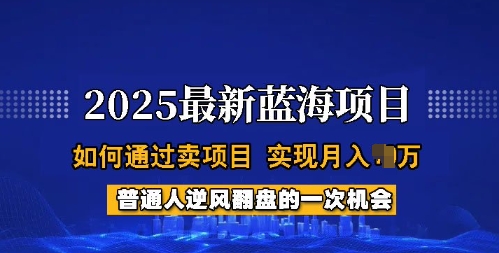 2025蓝海项目，普通人如何通过卖项目，实现月入过W，全过程【揭秘】-八爪鱼资源库