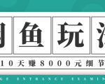 龟课·闲鱼项目玩法实战班第12期,操作10天左右利润有8000元细节玩法-八爪鱼资源库